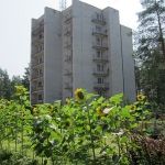 Санаторий Русский лес, Собинский район