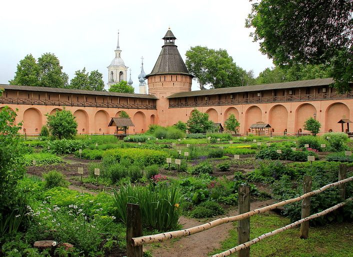Аптекарский огород Спасо-Евфимиева монастыря